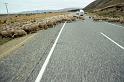 WT 0200 049-14 New Zealand